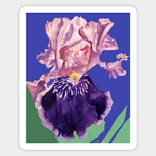 Iris Watercolor Painting - Glorious Purple on Navy Blue Sticker